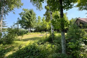 16265 N Cys Dr, , Park Falls,  WI 54552 USA