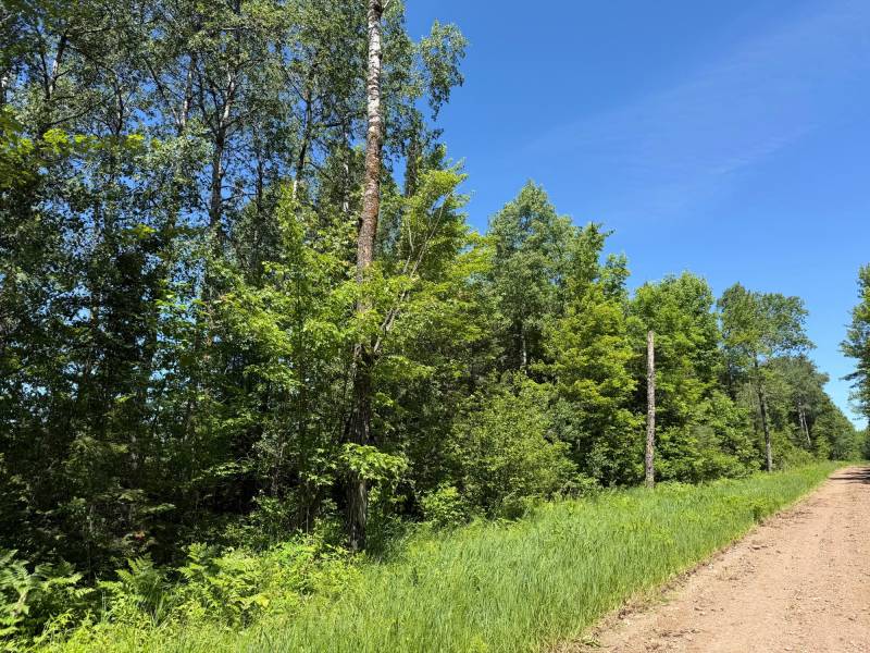 2185 Aloha Rd, , Lynne,  WI 54564 USA