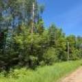 2185 Aloha Rd, , Lynne,  WI 54564 USA