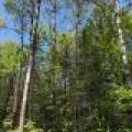 2185 Aloha Rd, , Lynne,  WI 54564 USA