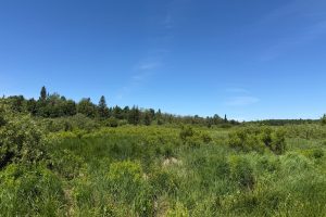 2185 Aloha Rd, , Lynne,  WI 54564 USA