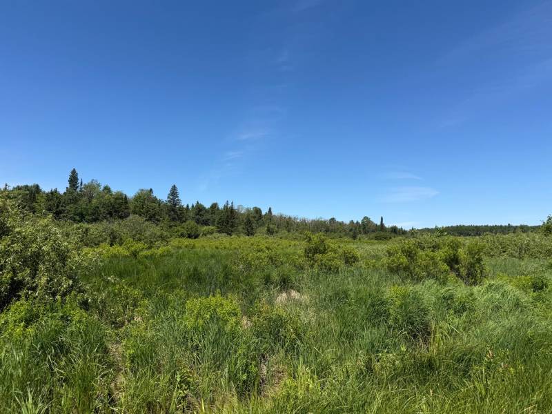 2185 Aloha Rd, , Lynne,  WI 54564 USA
