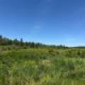2185 Aloha Rd, , Lynne,  WI 54564 USA