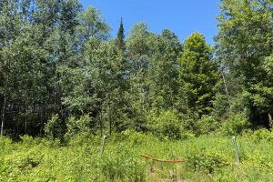2185 Aloha Rd, , Lynne,  WI 54564 USA