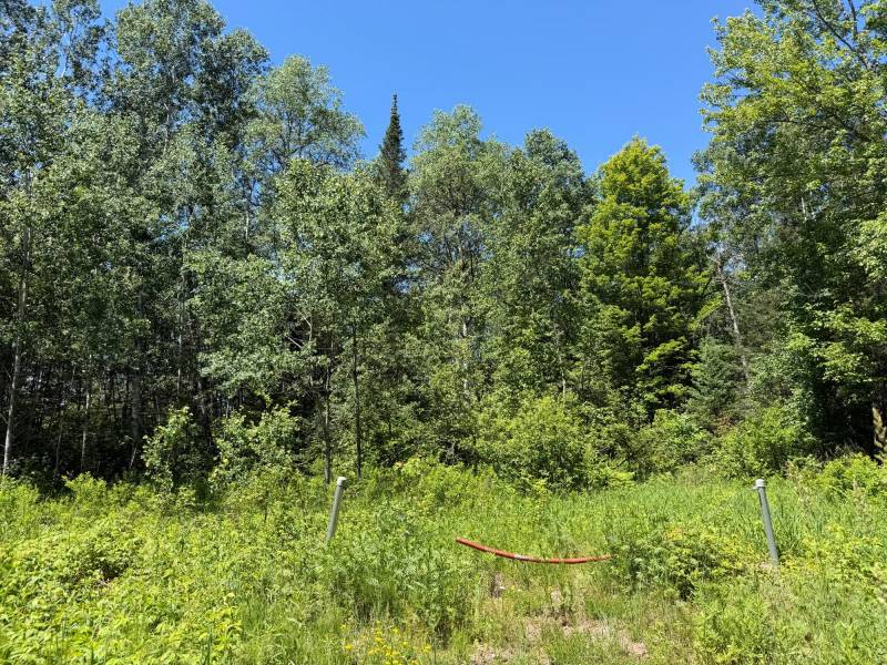 2185 Aloha Rd, , Lynne,  WI 54564 USA