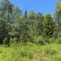 2185 Aloha Rd, , Lynne,  WI 54564 USA