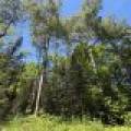 2185 Aloha Rd, , Lynne,  WI 54564 USA