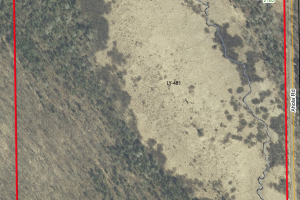2185 Aloha Rd, , Lynne,  WI 54564 USA