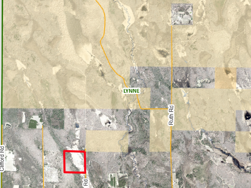 2185 Aloha Rd, , Lynne,  WI 54564 USA
