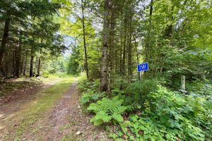 2581 Deer Ln, , Enterprise,  WI 54463 USA