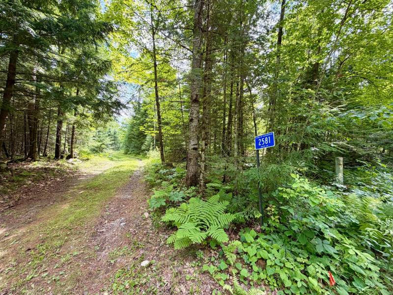 2581 Deer Ln, , Enterprise,  WI 54463 USA