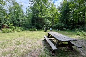 2581 Deer Ln, , Enterprise,  WI 54463 USA
