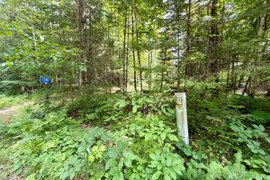 2581 Deer Ln, , Enterprise,  WI 54463 USA