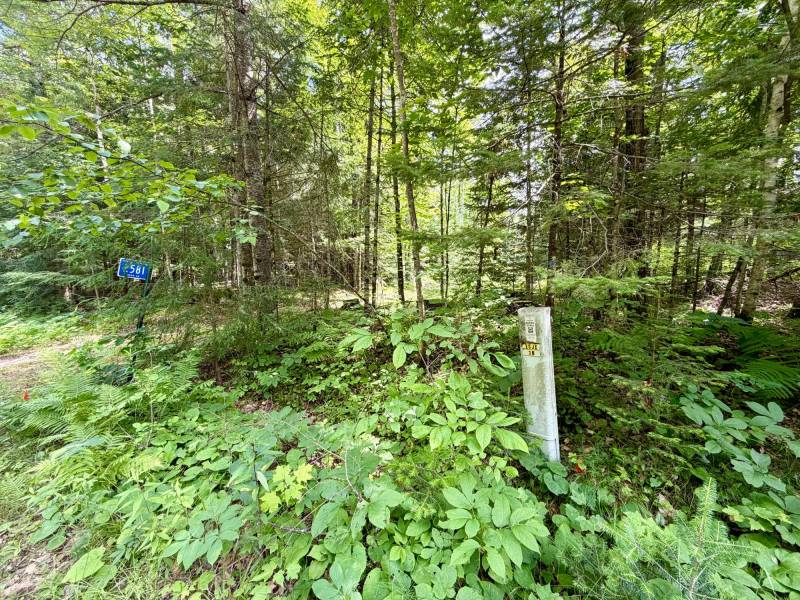 2581 Deer Ln, , Enterprise,  WI 54463 USA