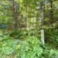 2581 Deer Ln, , Enterprise,  WI 54463 USA