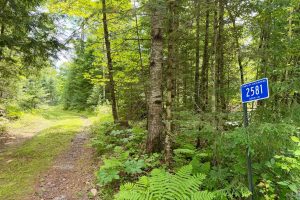 2581 Deer Ln, , Enterprise,  WI 54463 USA