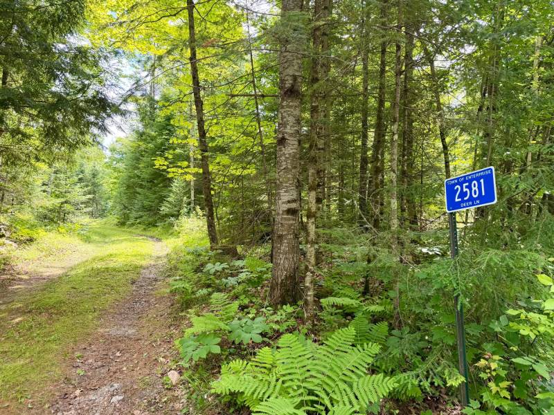 2581 Deer Ln, , Enterprise,  WI 54463 USA