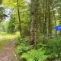 2581 Deer Ln, , Enterprise,  WI 54463 USA
