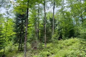 2581 Deer Ln, , Enterprise,  WI 54463 USA