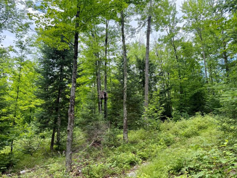 2581 Deer Ln, , Enterprise,  WI 54463 USA