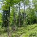 2581 Deer Ln, , Enterprise,  WI 54463 USA