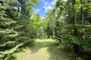 2581 Deer Ln, , Enterprise,  WI 54463 USA