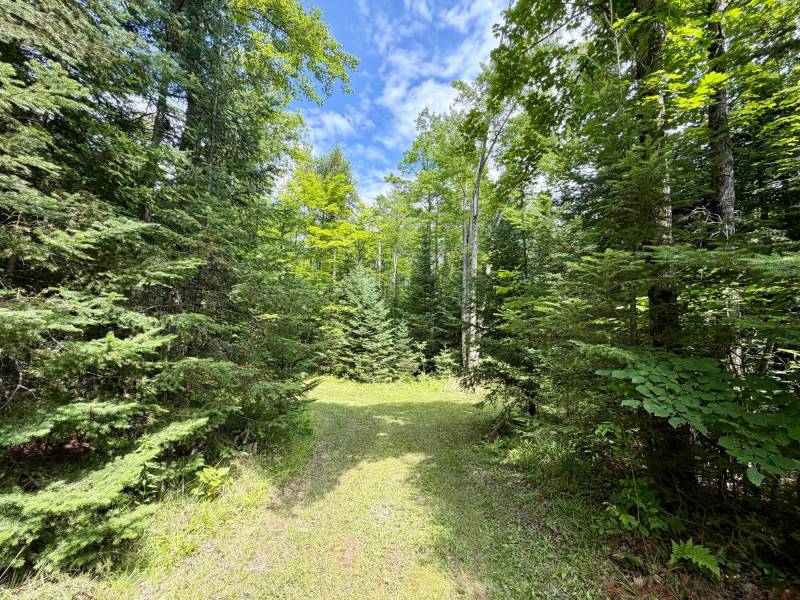 2581 Deer Ln, , Enterprise,  WI 54463 USA