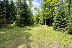 2581 Deer Ln, , Enterprise,  WI 54463 USA