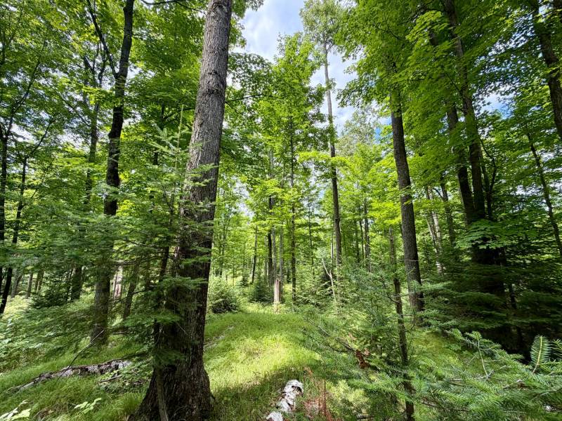 2581 Deer Ln, , Enterprise,  WI 54463 USA