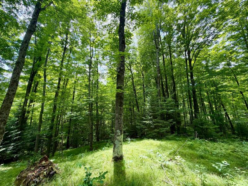 2581 Deer Ln, , Enterprise,  WI 54463 USA