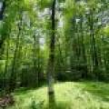 2581 Deer Ln, , Enterprise,  WI 54463 USA