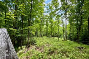 2581 Deer Ln, , Enterprise,  WI 54463 USA