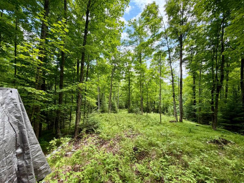 2581 Deer Ln, , Enterprise,  WI 54463 USA