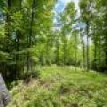 2581 Deer Ln, , Enterprise,  WI 54463 USA
