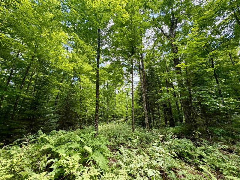 2581 Deer Ln, , Enterprise,  WI 54463 USA