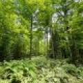 2581 Deer Ln, , Enterprise,  WI 54463 USA