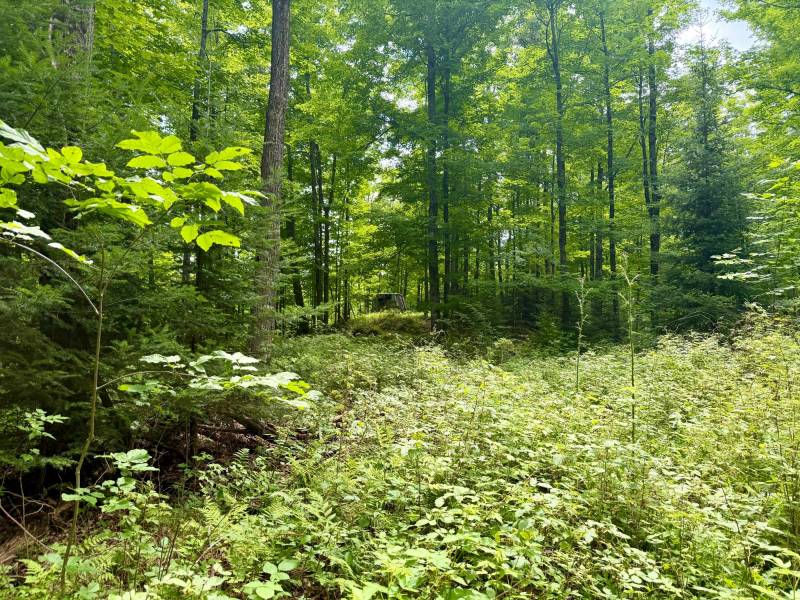2581 Deer Ln, , Enterprise,  WI 54463 USA