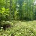 2581 Deer Ln, , Enterprise,  WI 54463 USA