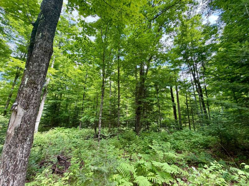 2581 Deer Ln, , Enterprise,  WI 54463 USA