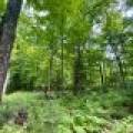 2581 Deer Ln, , Enterprise,  WI 54463 USA