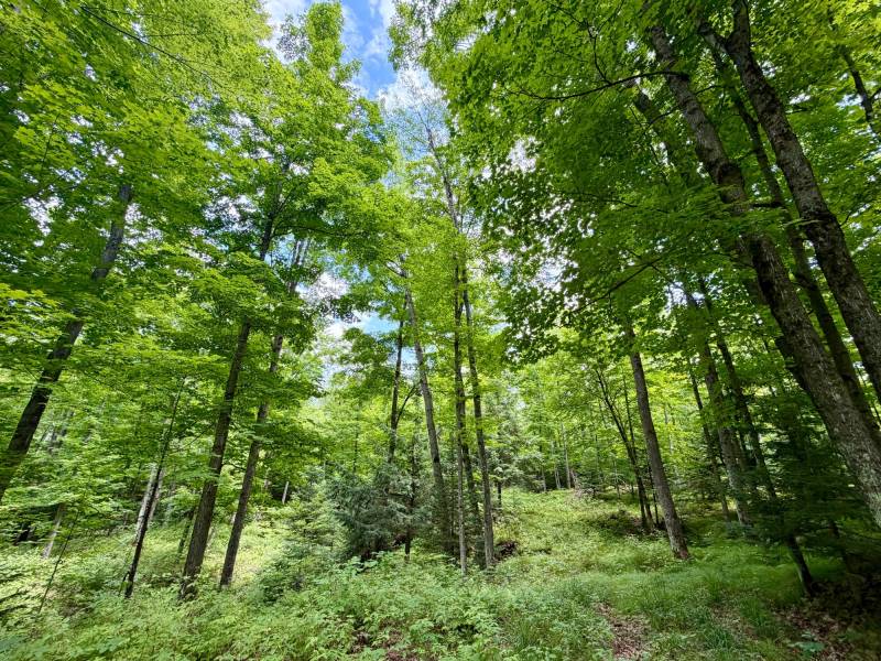 2581 Deer Ln, , Enterprise,  WI 54463 USA