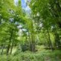 2581 Deer Ln, , Enterprise,  WI 54463 USA