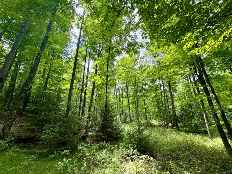 2581 Deer Ln, , Enterprise,  WI 54463 USA