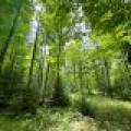 2581 Deer Ln, , Enterprise,  WI 54463 USA