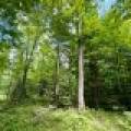 2581 Deer Ln, , Enterprise,  WI 54463 USA