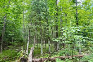 2581 Deer Ln, , Enterprise,  WI 54463 USA