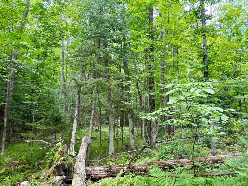 2581 Deer Ln, , Enterprise,  WI 54463 USA