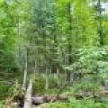 2581 Deer Ln, , Enterprise,  WI 54463 USA