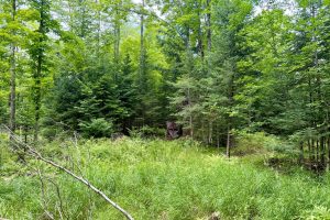 2581 Deer Ln, , Enterprise,  WI 54463 USA