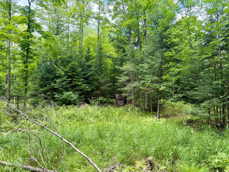 2581 Deer Ln, , Enterprise,  WI 54463 USA